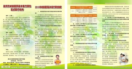 医疗保险保险制度是什么|医疗保险保险制度